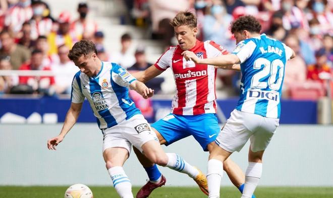 的领导班子 的领导班子