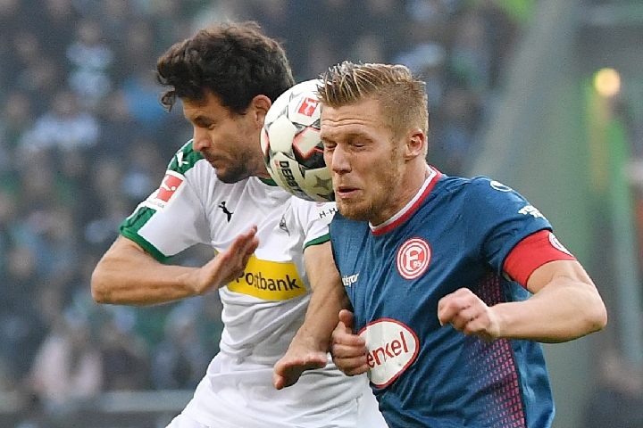 引进莫兰特 引进莫兰特