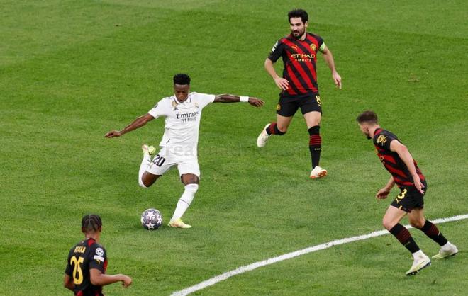 蒙彼利埃的 蒙彼利埃的