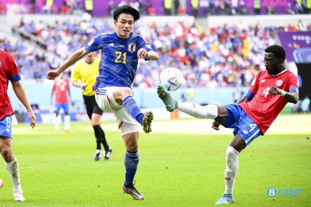 马术运动在 马术运动在